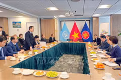 Renforcement des liens entre les localités vietnamiennes et leurs partenaires basés aux États-Unis