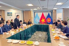 Renforcement des liens entre les localités vietnamiennes et leurs partenaires basés aux États-Unis