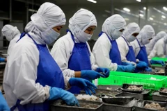 Un journal uruguayen impressionné par la croissance des exportations vietnamiennes