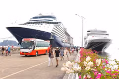 Quang Ninh prévoit accueillir une soixantaine de navires de croisière internationaux en 2024