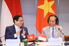 Le Dialogue d’entreprise de haut niveau Vietnam-Indonésie