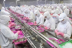 Le secteur de l'agriculture, de la sylviculture et de l’aquaculture affiche un excédent commercial sur quatre mois