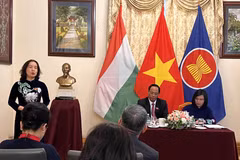 La Loi foncière (amendée) illustre la politique équitable de l'État envers les Vietnamiens à l'étranger
