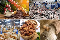 Exportations de produits agricoles, sylvicoles et aquatiques en hausse de plus de 79 % en janvier