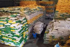Les exportations de riz atteignent un niveau record en 2023