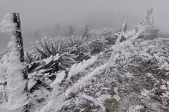 Le Premier ministre dirige la prévention et la lutte contre le froid