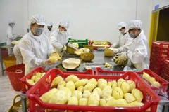 Les exportations de fruits et légumes en forte hausse