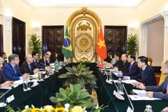 Le Vietnam et le Brésil attachent de l'importance aux relations bilatérales