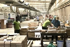 Renforcement des liens entre les entreprises nationales et d'IDE pour stimuler les exportations de bois