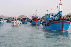 INN : Quang Nam s'efforce de développer une économie maritime moderne et durable