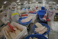 Le Vietnam vise deux milliards de dollars d'exportations de pangasius en 2024
