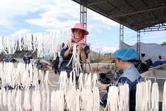 Ha Giang exporte le premier conteneur de radis marinés de 2024 au Japon