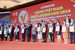 Remise du certificat de produits vietnamiens de haute qualité 2024