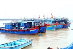 Quang Binh déploie des mesures pour lutter contre la pêche INN