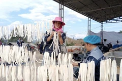 Ha Giang exporte le premier conteneur de radis marinés de 2024 au Japon