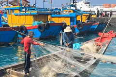 Binh Thuân déterminée à ne laisser aucun navire de pêche violer les eaux étrangères