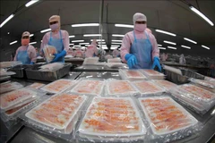 Les exportations de produits aquatiques montrent des signes optimistes