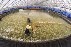 Le 3e Forum agricole Vietnam-Australie