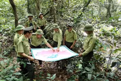 Aide américaine dans la formation des gardes forestiers du Vietnam