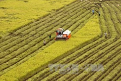 La visioconférence pour faire le bilan du secteur agricole en 2018