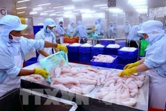 Promotion du commerce et de l'investissement entre le Vietnam et l'Allemagne
