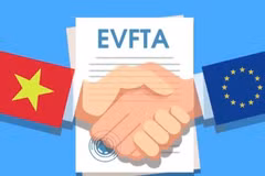Profiter de l'EVFTA pour créer des noms de marque