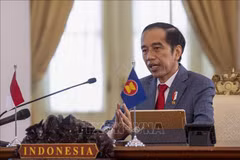 ASEAN 2020: l'Indonésie appelle à renforcer le multilatéralisme et la tolérance ​