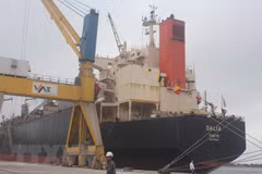 Thanh Hoa : inauguration d'une nouvelle ligne de fret maritime