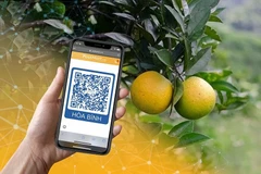 La Poste du Vietnam donne un coup de main aux agriculteurs dans le commerce en ligne