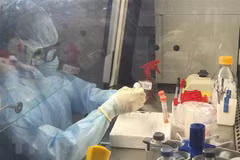 Le Vietnam pourrait avoir la réponse la plus efficace au COVID-19