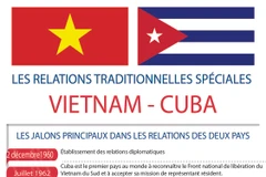 Les relations traditionnelles spéciales Vietnam-Cuba