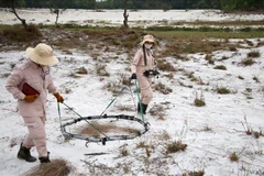 Quang Tri a déminé plus de 25.000 ha ces dernières années