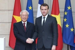 Vers des relations Vietnam - France plus étroites et plus efficaces