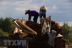 Les exportations de produits sylvicoles en hausse 