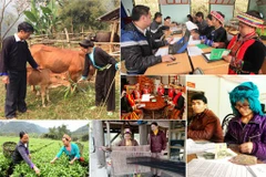 Création d'un conseil d’évaluation du Programme national sur le développement socio-économique 