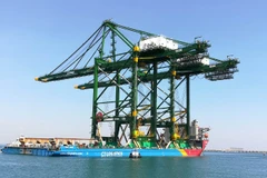 Doosan Vina exporte trois grues RMQC "made in Vietnam" vers l'Inde