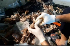 Démantèlement d'une organisation criminelle de drogue dirigée par des Taïwanais