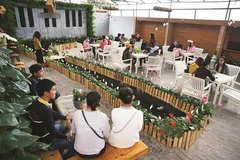 Le delta du Mékong offre un fort potentiel de développement de l'agrotourisme