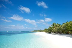 Travelers’ Choice Adwards 2020: De nombreuses localités vietnamiennes honorées