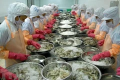 Saisir des opportunités pour stimuler les exportations de produits aquatiques vers l'UE ​