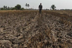 La Thaïlande face à une grave pénurie d'eau