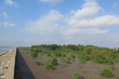 L'UE et la France aident le Vietnam à lutter contre le changement climatique et le COVID-19