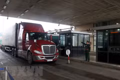 Import-export: télégramme du PM sur le dégagement des difficultés 