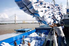 Le Vietnam pourrait devenir un pays à revenu intermédiaire de la tranche supérieure en 2023
