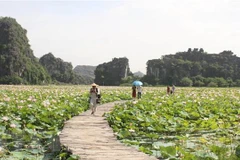 Le Vietnam continue de prendre des mesures de promotion du tourisme interne