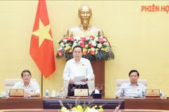 Le président de l'Assemblée nationale, Tran Thanh Man, prononce le discours de clôture de la réunion. Photo: VNA