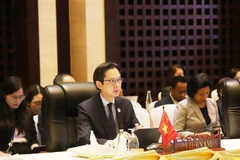 Le vice-ministre des Affaires étrangères, Do Hung Viet, lors de la réunion. Photo: VNA