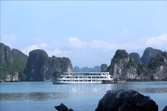 Baie de Ha Long, province de Quang Ninh. Photo: VNA