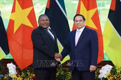 Le Premier ministre Pham Minh Chinh (droite) et le président du Mozambique, Filipe Jacinto Nyusi. Photo: VNA