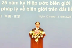 Le vice-Premier ministre et ministre des Affaires étrangères, Bui Thanh Son, lors de la cérémonie. Photo: baochinhphu.vn